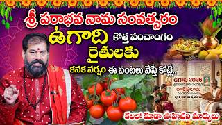 Pradeep Joshi : Ugadi Panchangam 2026 -27 |Ugadi Panchanga Sravanam | Year Predictions & Year Det...