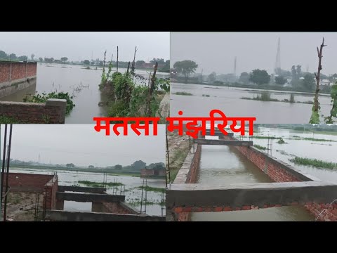मतसा मंझरिया  जमानिया Ganga flooded again/LatestUpdate Ganga Flood 2025 #rasidahamad #Ganga 