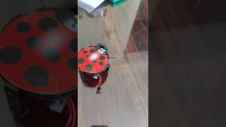 How To make a bugbot