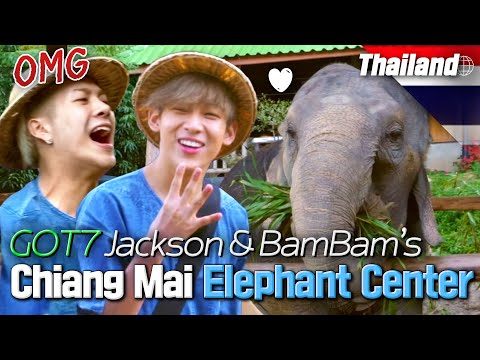 Can scaredy-cat GOT7 JACKSON  & BAMBAM take good care of an elephant? 🐘 | Where Is My Friend's Home