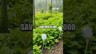 Green Tech Innovations in Daily Life