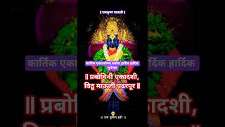 विठुमाऊली पंढरपुर । प्रबोधिनी एकदशी । कार्तिक एकादशी । #song #shorts #viral