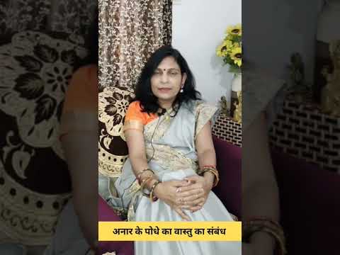 अनार के पौधे का वास्तु से संबंध। Relation of pomegranate plant to vastu #vastu #astrology