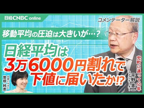 【日経平均株価は3万6000円割れで下値に届いたか│平野憲一氏】移動平均の圧迫大…長期投資家の資金必要／海外投資家は日本株売り越し中／トランプ政策が欧州の団結に／春闘の賃上げ状況／日銀とFOMCに注目