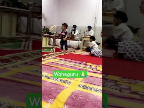 Gurudwara sahib 🙏🏻 #kirtan #dailykirtan #gurunanakdevji #gurudwara #babyboy #waheguru #amritsar
