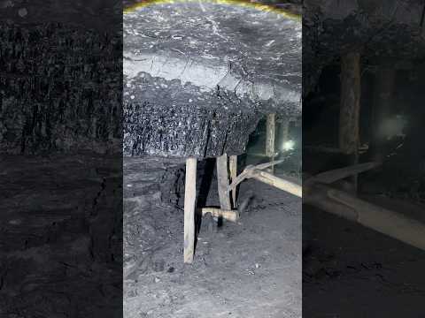 Black diamond in coal mining ⛏️ #blackgoldmining #diamondmining #coalmining