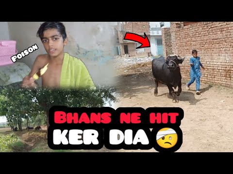 Bhans ne hit ker dia 🤕 Lerko ki funny lerai 🤣Zabi Bhai
