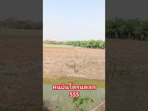 #funny #โดรนเกษตรบ้านแท่น #comedy #farming #คนบ้านเฮา สนใจจ้างโดรนทักมา