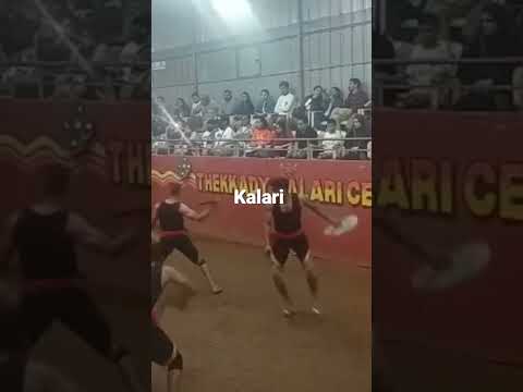 #kalaripayattu #kerala #keralanews #sports #selfdefense #keralasports #kalaripattu