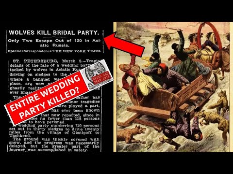 118 people SLAUGHTERED by Wolves | Did wolves really kill an entire wedding party in Russia?