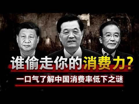 【消费丧钟为谁鸣】一口气了解中国消费率低下之谜 | 为什么中国的消费率比印度还低？究竟是“谁”偷走了你的消费力？| 中国经济 | 消费 | 刺激政策 | 通缩
