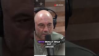 The Gita and Mahabharat ARE REAL??!!😱 Mystical Aspect with Joe Rogan