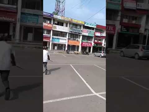 short pull hit #cricket #indiavspakistan #love #yoitubeshorts #soul #fun