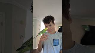 num num num #comedy #funny #shorts #memes #fypシ