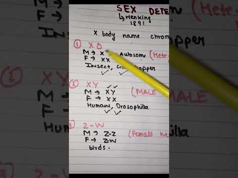 sex determination #shorts #neet #mbbs #aiims #viral #youtubeshorts