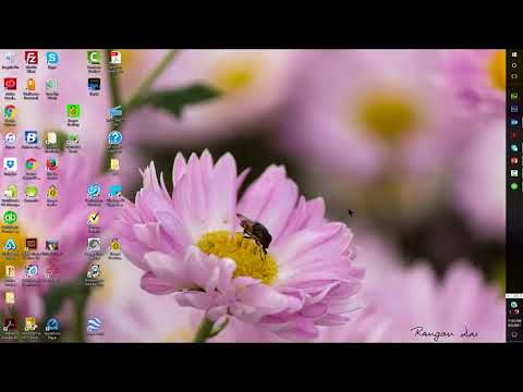 Export QuickBooks Reports to Excel