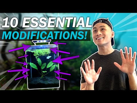 10 CHEAP/DIY Modifications for Marineland 5 Gallon Portrait Tank