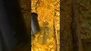 This Gold Mining Method Uses Water Like a Weapon Shorts 💦💰 #GoldRush