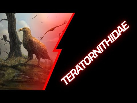 Crítica a Teratornithidae