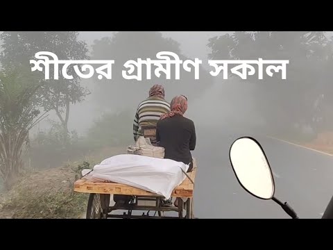 গ্রামে শীতের সকাল কেমন হয়? - Rajshahi