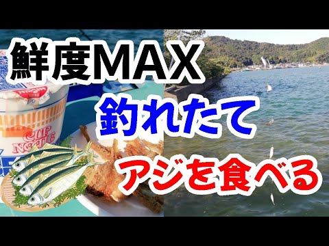 【アジ釣り】釣れたて鯵を食す動画「鮮度ＭＡＸ」現地で食べる