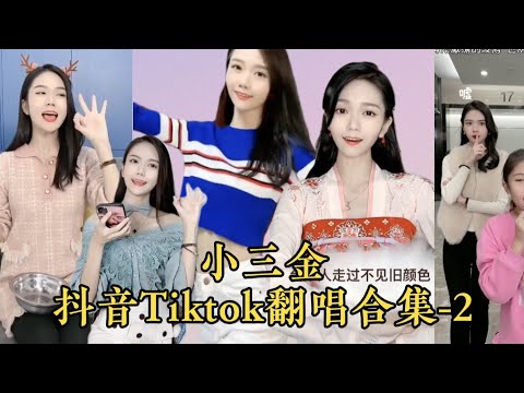 《小三金》抖音翻唱合集-2  网络最火的歌曲