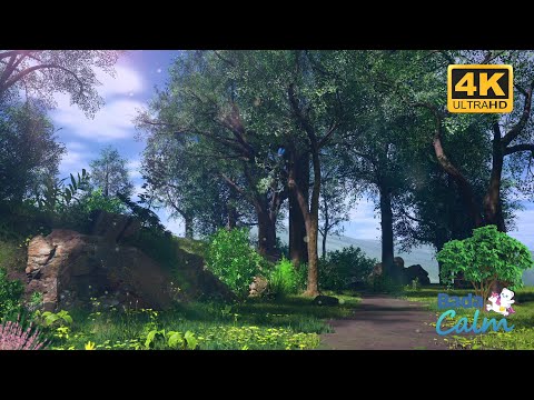 [4K] Creative Meditation for Kids | Walk and Wonder | Badanamu Calm