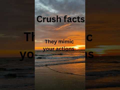 5 crush facts you need to know