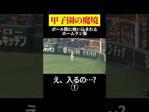 ①「コレ入るの…?」甲子園の魔境ポール際HR集