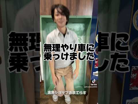 アクアリウム引退のご相談でお引き取りしてきました！金魚ショップあまてらす