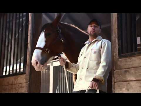 2015 Budweiser Super Bowl XLIX Commercial Lost Dog Puppy BestBuds  TV Ad Spot