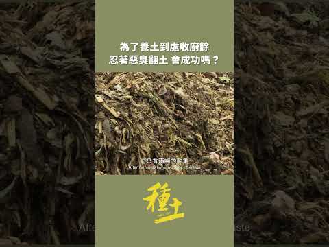 🧑‍🌾放棄「滑鼠」改拿「鋤頭」─ 阿仁的種土夢