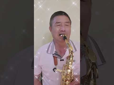 薩克斯風習吹/菊花台Bb轉C