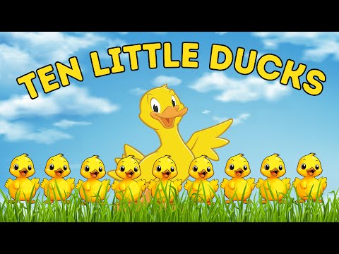 10 Little Ducks - Kiddo Playful Sing Along