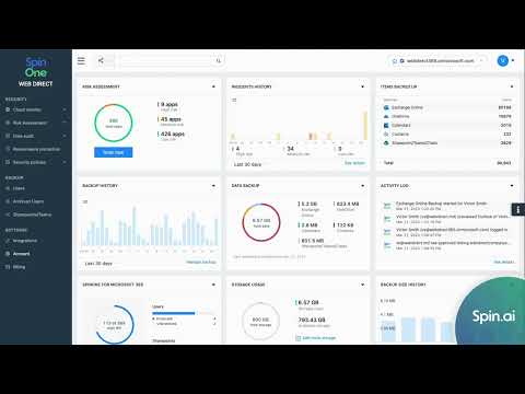 SPINONE DEMO: OVERVIEW