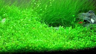 UP Inline Atomizer in Arbeit