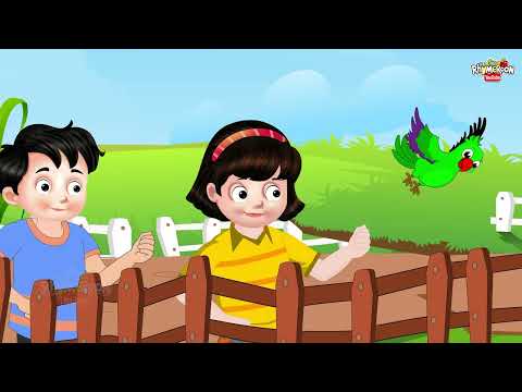 नानी माँ ने तोता पाला | Nani Maa Ne Tota Pala | 3D Hindi rhymes for kids | Hindi poem | Rhyme Roon