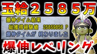 【ドラクエ10】玉給2580万！？バージョン7.3の「爆伸丸＆修練の心得レベリング」の効率がヤバすぎるｗｗｗ【特急メタル招待券】