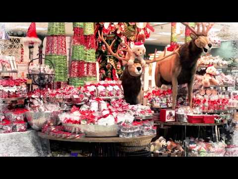 Christmas at Palmer's
