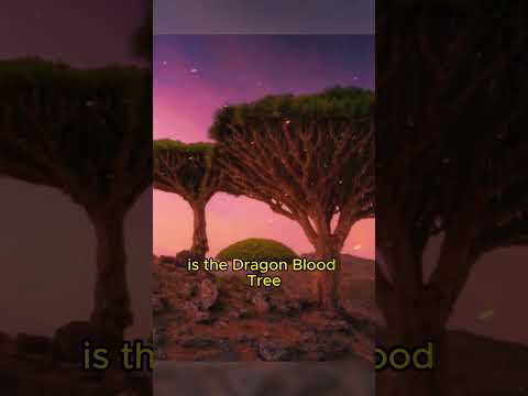 The Strangest Island On The Planet | Socotra | Strange facts you never knew P.32 #shorts