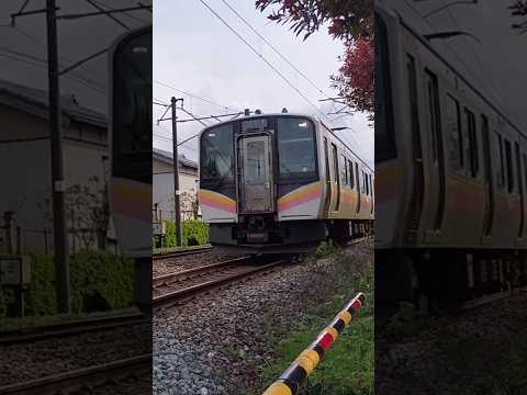 E129系90kmで通過#shorts