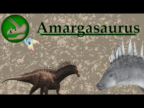 The Stylish Sauropod | Amargasaurus