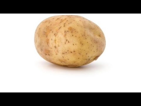 A potato flew around my room before you came.. // Sjitpost ;-;