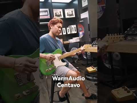 Warm​Audio Centavo #เต็นธีรภัค #warmaudio #warmaudiocentavo #centavos