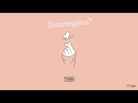 พี่ไหวนะ หนูดุหรอ - TVAN [ Official Audio ]