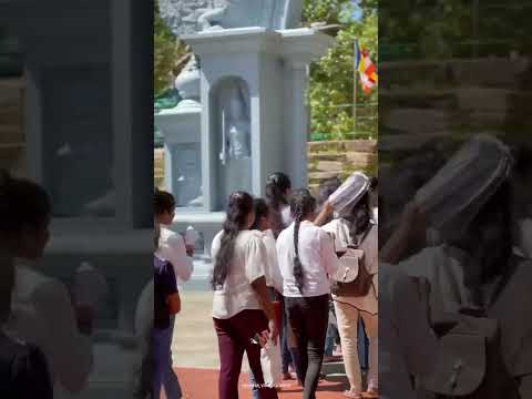 2023AL  Tech To Oxygen Batch Trip...