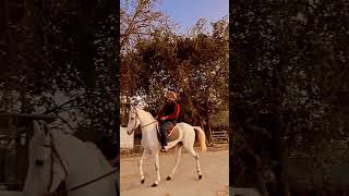 #Horseriders #Horselovers #horseriders #viralvideo #Likevideo #Subscribe #Sharevideo