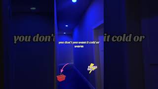 Smart Lights with App Control, Holiday Modes & More! #smartlights #smarthome