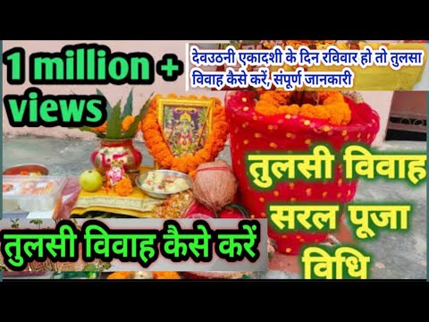 तुलसी विवाह विधि। तुलसी विवाह कैसे करें।तुलसी पूजन विधि।Tulsi vivaah। Trending video। Viral Video।