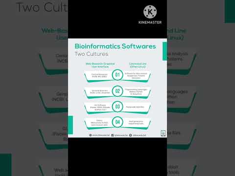 About bioinformatics